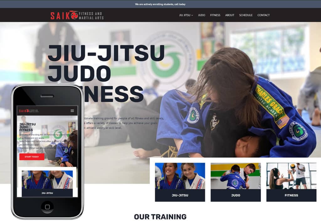 San Jose Martial arts website
