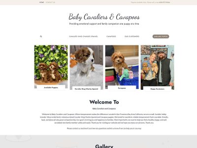 Morgan Hill Website Design 5 Website homepage showing puppies, owners, and the heading Baby Cavaliers & Cavapoos.